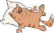 Vector: Cat and a pillow. Cartoon Cat and a pillow. Cartoon