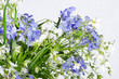 withering spring flowers