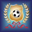 Football shield