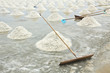 Salt harvesting