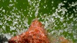 Garden pond