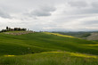 Campagne toscane