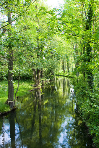 Foto: Spreewaldidyll Spreewaldidyll