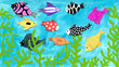 Colorful fishes