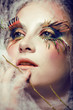 butterfly make up