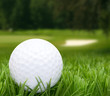 Golf Ball