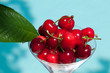 Spring Cherries
