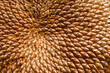 Foto: Sunflower macro Sunflower macro
