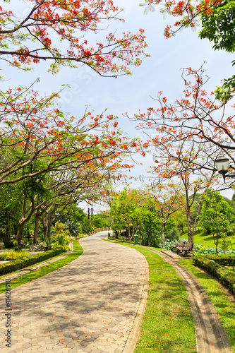 Photo: road in the park road in the park