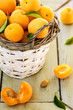Fresh apricots