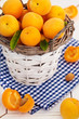 Fresh apricots