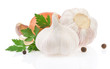 garlic food spices isolated on white