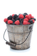 Blackberries and Raspberries in Pail Blackberries and Raspberries in Pail
