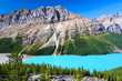 Peyto Lake of Canada Peyto Lake of Canada