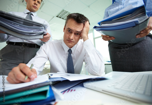 Photo: Busy working Busy working