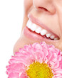 Beautiful woman face with flower. Beautiful woman face with flower.