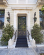 elegant house door and flower pots elegant house door and flower pots