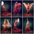 flamenco