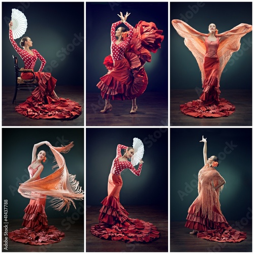 Photo: flamenco flamenco