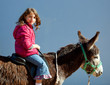 donkey mule with kid little girl riding happy