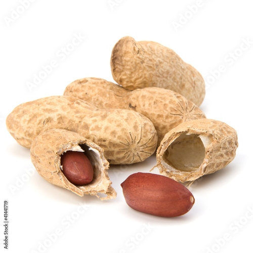 Photo: Peanut Peanut