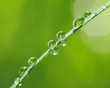 Detalii fotografie water drops