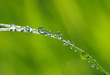 Detalii fotografie water drops