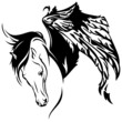 winged horse fine vector illustration