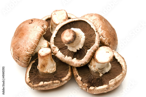 Photo: hongos hongos