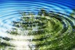 Reflection of forest and sun in water