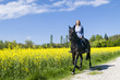 Traumtag zum Reiten
