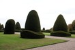 topiary. garden art. garden design. shape.