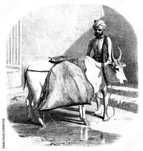 Illustration: Hindu water-seller - Trad. scene India Hindu water-seller - Trad. scene India