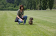 Addestramento cane bassotto