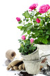 garden tools