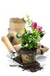 garden tools