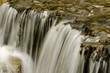 Mountain Stream Mountain Stream
