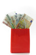 tasche mit euro