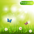 Bokeh grass
