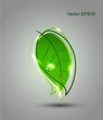 Abstract leaf