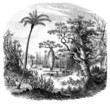 Exotic Landscape