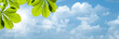 Blue skies with bright sun as abstract backgrounds
