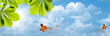 Butterfly. Blue skies with bright sun as abstract backgrounds