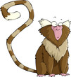 Marmoset