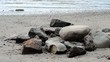 Kalte Feuerstelle am Strand