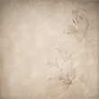 lily retro design