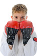 Young boy training karate. Young boy training karate.