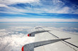 Airplane wing