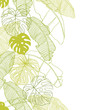 Vector illustration leaves of palm tree. Seamless pattern.