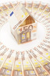 Euro house and banknotes Euro house and banknotes